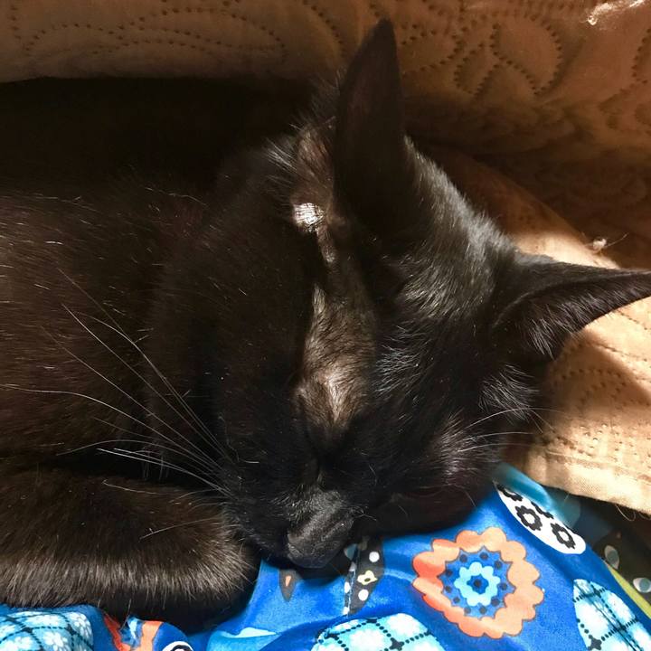 2aeea381 1c46 4026 900e 98e640778b5a 1519301549684