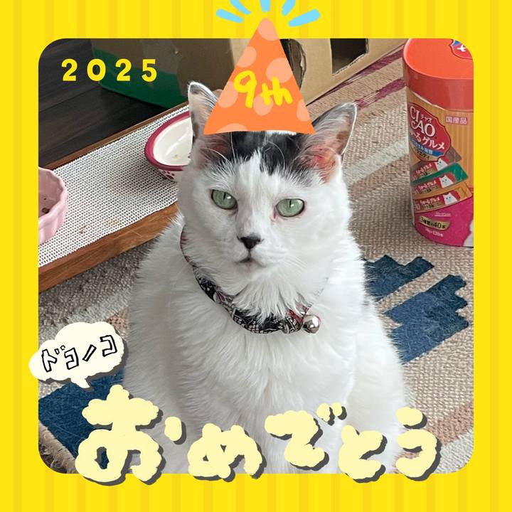 2aeea738 8f18 467a b529 017d3f7622dc 1749361273145