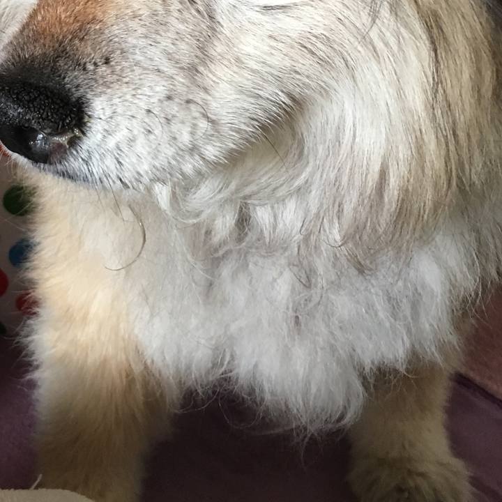 2aeedc45 9a9b 40e7 8a42 c8e8b0568afb 1595166809190