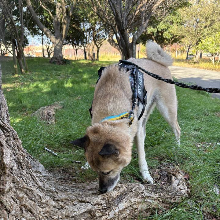 2aef39da 6c8e 4eb7 8f94 22921a1d28ae 1733661004507