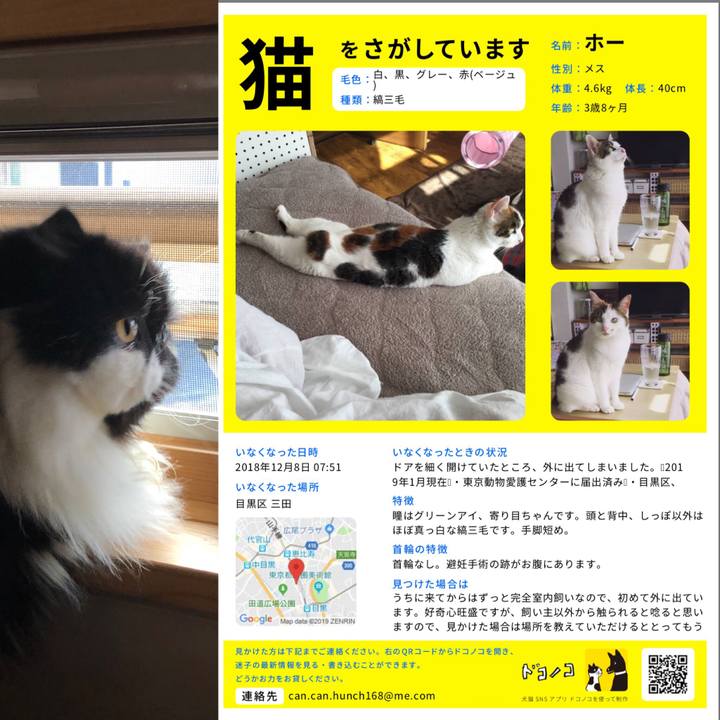 2aef56aa ab76 4c1d 823a c09ee164dfd7 1547474494889