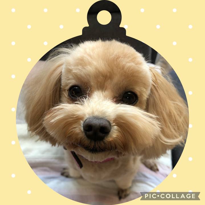 2aef6fd2 17be 40f3 8b45 a2a8768d030a 1638662890839