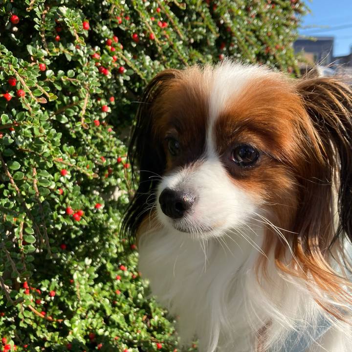 2aef72f1 a01f 4349 90f8 975f62e6114a 1665533523566