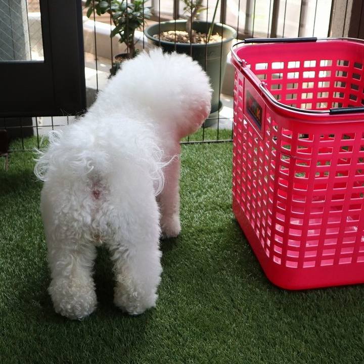 2aef79d7 df0c 40b5 a81a 40028d21c5e3 1592454361004