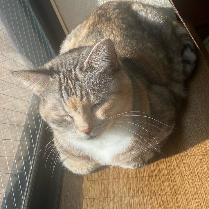 2aef7e7a 39a9 41ab acde 2dfeac758e5f 1670116287867