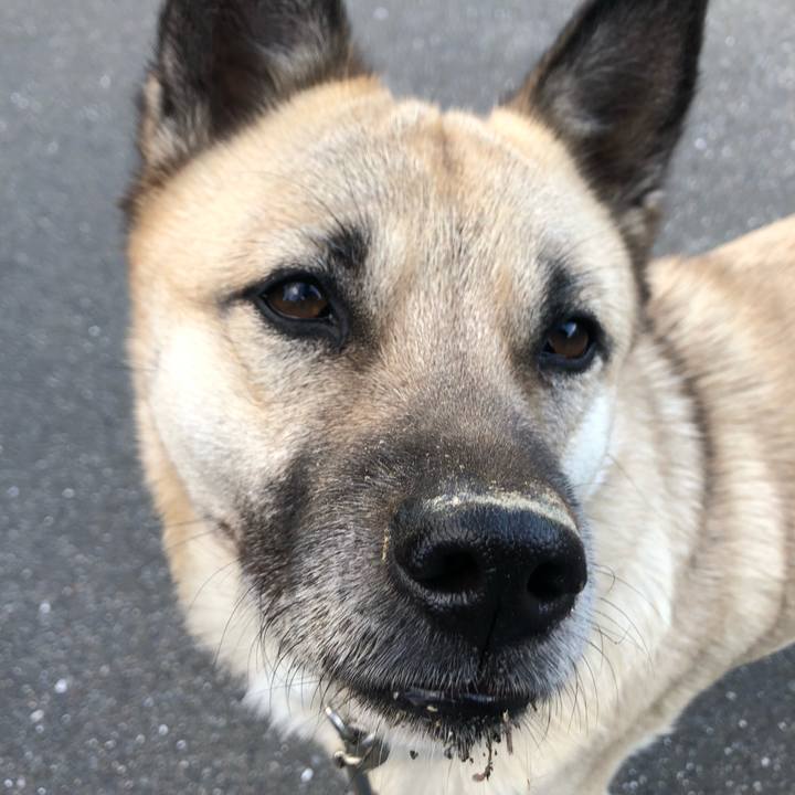 2aef92e9 8ebb 43d1 86be 3b672e1cf4df 1610888676639