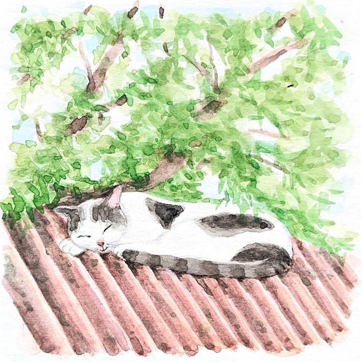 2aefa344 6fd8 4b1f 8c0f 281e533e3258 1774503919927