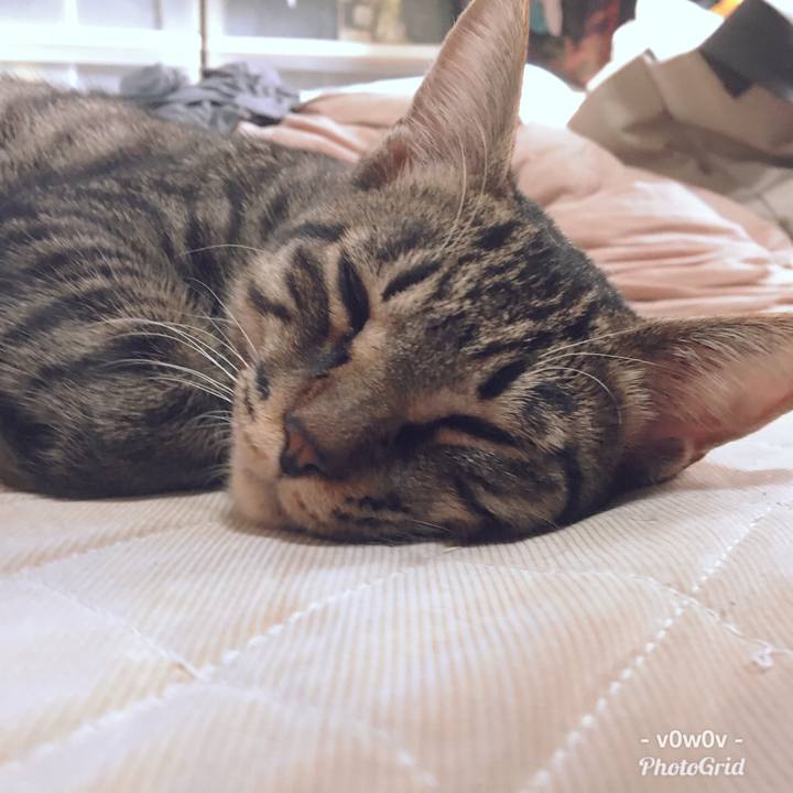 2aefabb8 3ba9 4fb1 9d78 ce4dabc47ec3 1544244602523