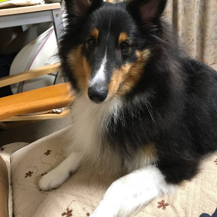 2aefdc9f 67ca 44b3 a0b0 a0eb622f2c5f 1538345714293