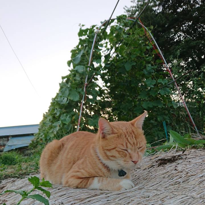 2aefe471 97f4 496d 81a7 84930fcbec0a 1566120190501