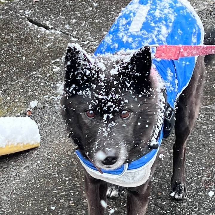 2aeffc89 2e66 4cf9 becf dbfa1e5d0601 1770538268712