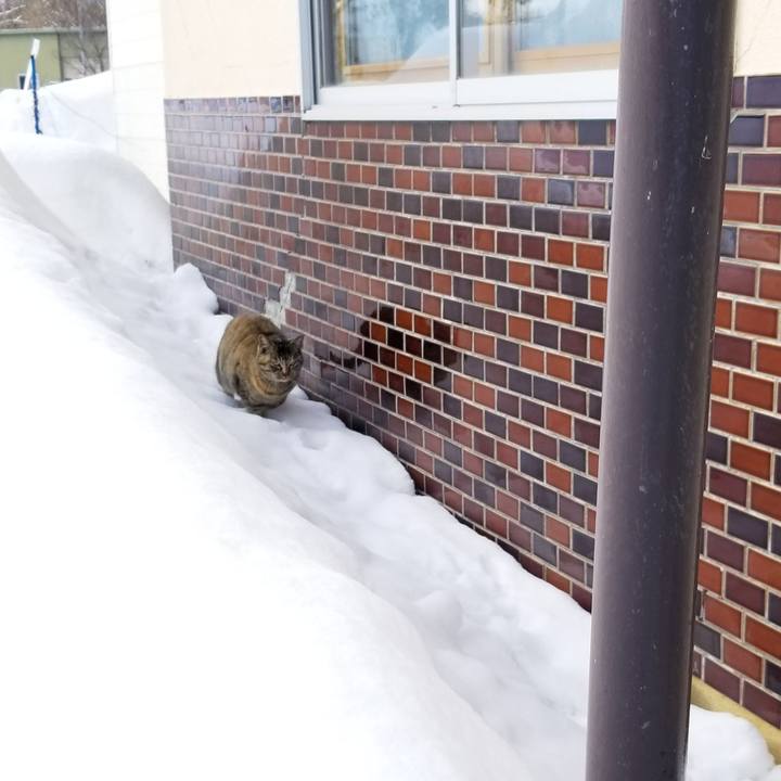 2af01f9e bb9b 40ef 953a e9a830f85bb9 1676468369540