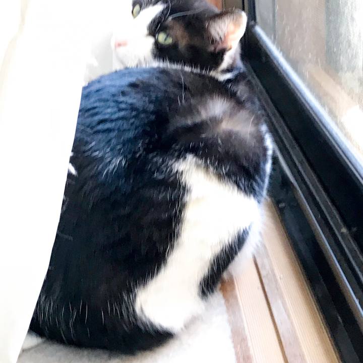 2af02300 1d92 4dad a96b bc4019ff7d75 1525656963042