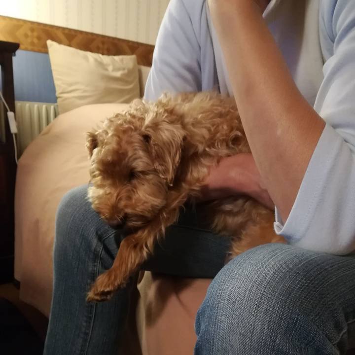 2af0404f 303d 4ea6 89a9 a2056c5987a8 1530054671295