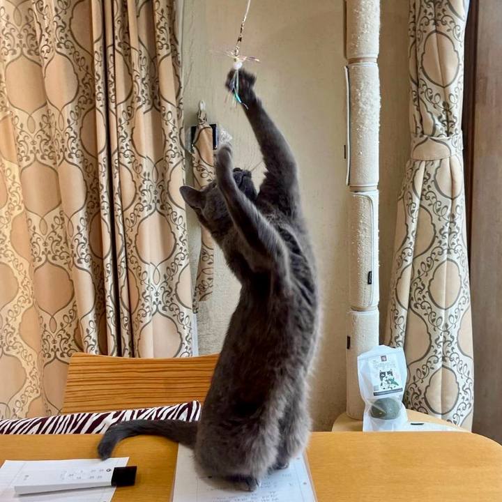 2af056d2 30bd 46c3 90f7 93557ab1f0f5 1751418871840