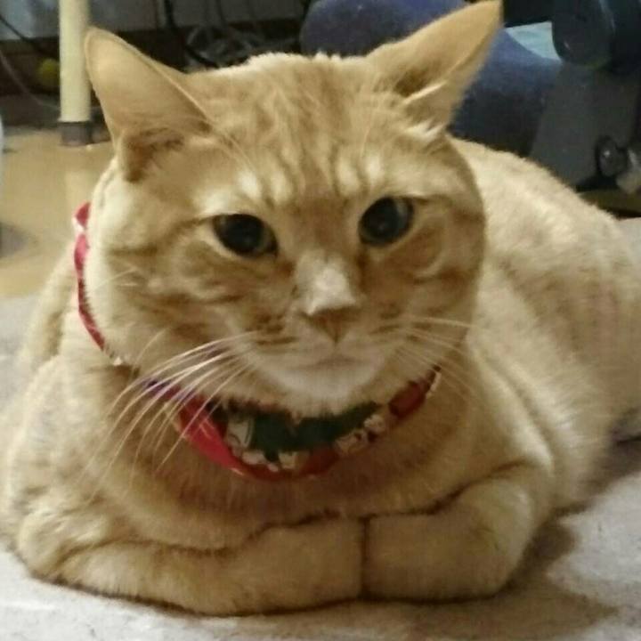 2af07341 700e 47d4 bbed 4ee503386f3f 1515375094136