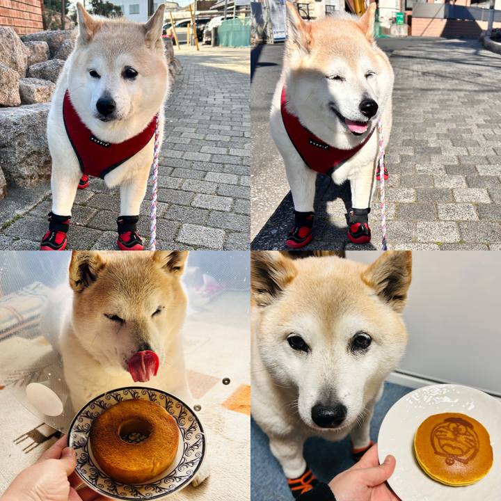 2af0b593 914a 422d b2ff 835969faa2a2 1740301973510