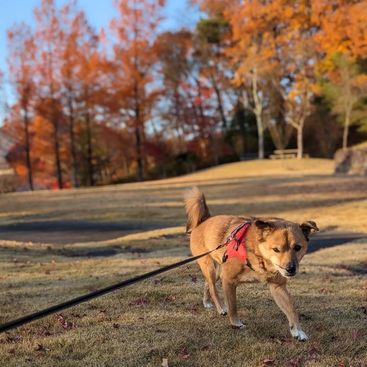 2af0ecc7 084e 453f 831b 17969b8720ed 1701441611860