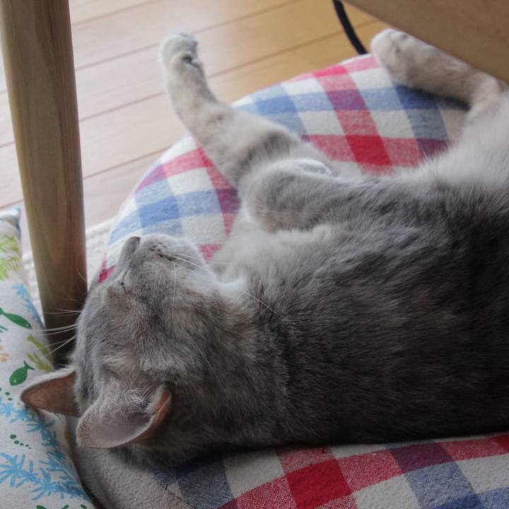 2af0f5b2 ff2e 41c2 b743 43a92e301215 1572148097618