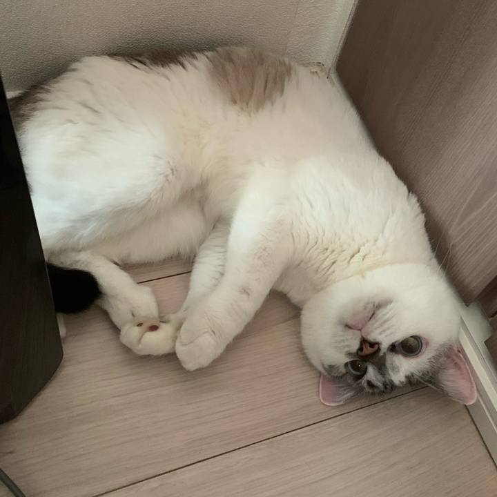 2af10141 7cb1 484f 8389 3cebe3276ae4 1627606689378