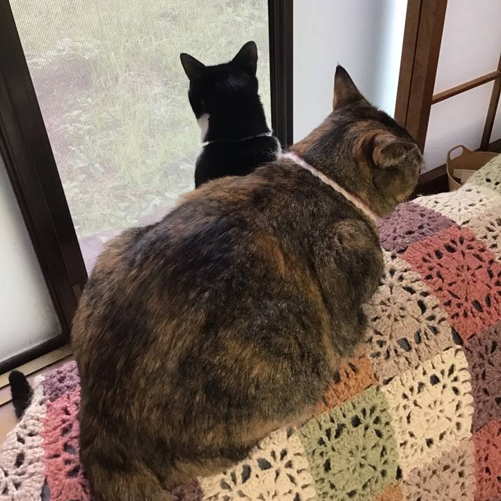 2af106af a646 4f19 8104 ef41c7490aba 1719306647350