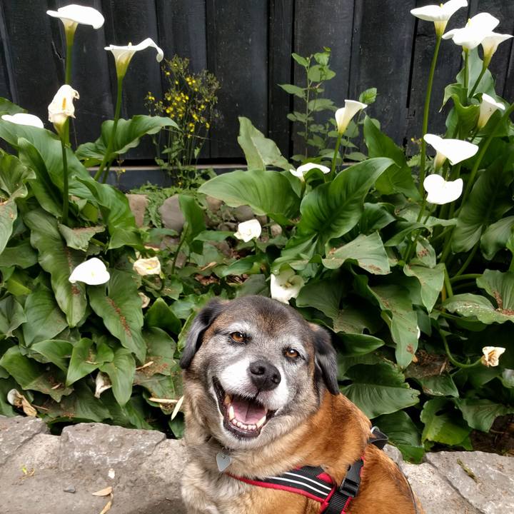 2af11df8 6369 4a82 9c0a a54e97f8bdf7 1712970060309