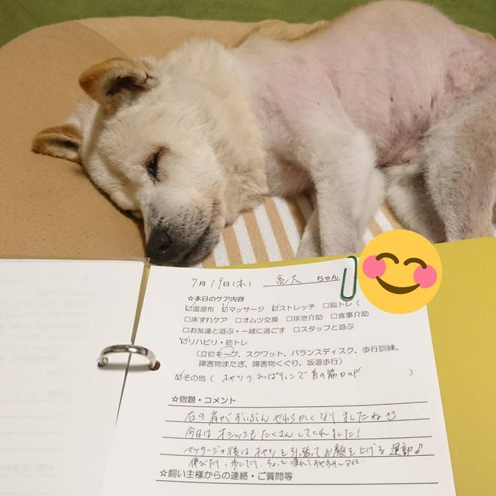 2af11f0a 1719 4257 a867 47fe2f1ee80c 1532007662510