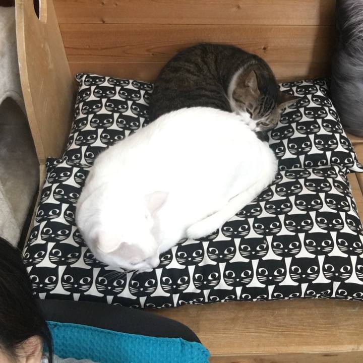 2af128ee 059d 4a33 a713 eeb3565b7525 1547344450615