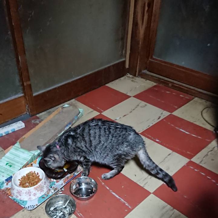 2af14e0a 84f0 464e 9968 f1299f92c689 1580674386071