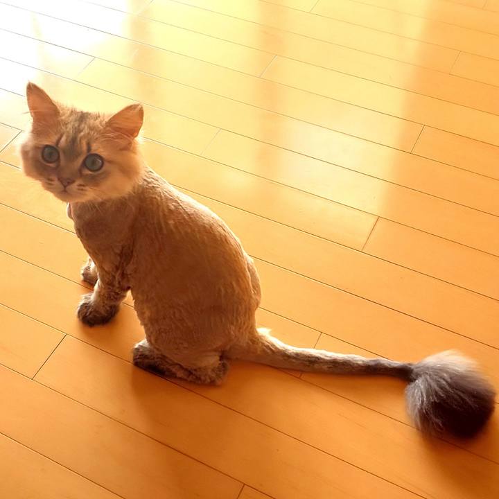 2af18209 f7d7 4eda b850 e70a251e728a 1564367516994