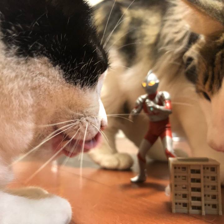 2af22f01 7f38 459a b46d dd6174a2c96b 1541581688795