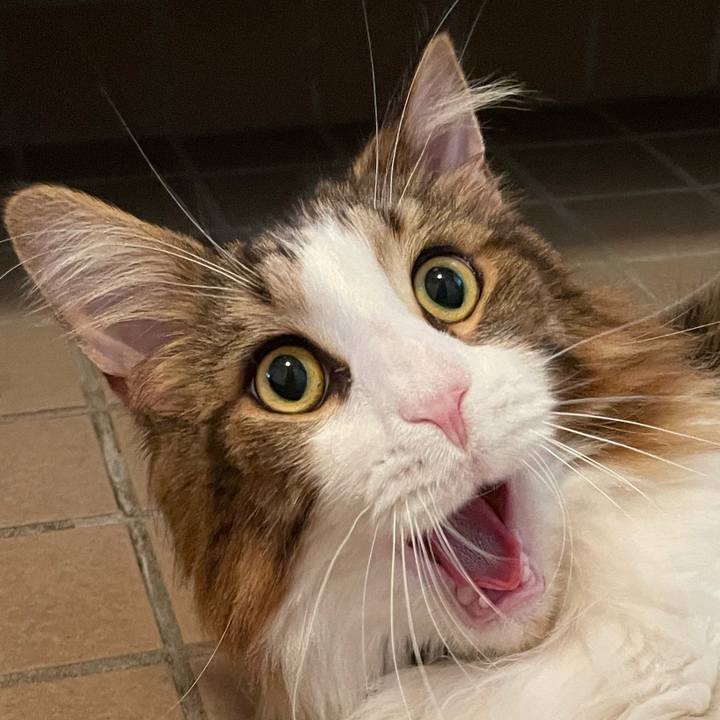 2af232e4 705b 4dd9 bcdd df98122d222c 1658607880042