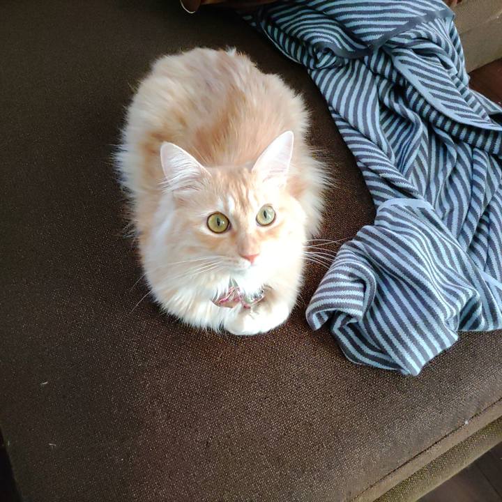 2af2395e be5f 46ae ade2 e98b38430ad7 1697000834000