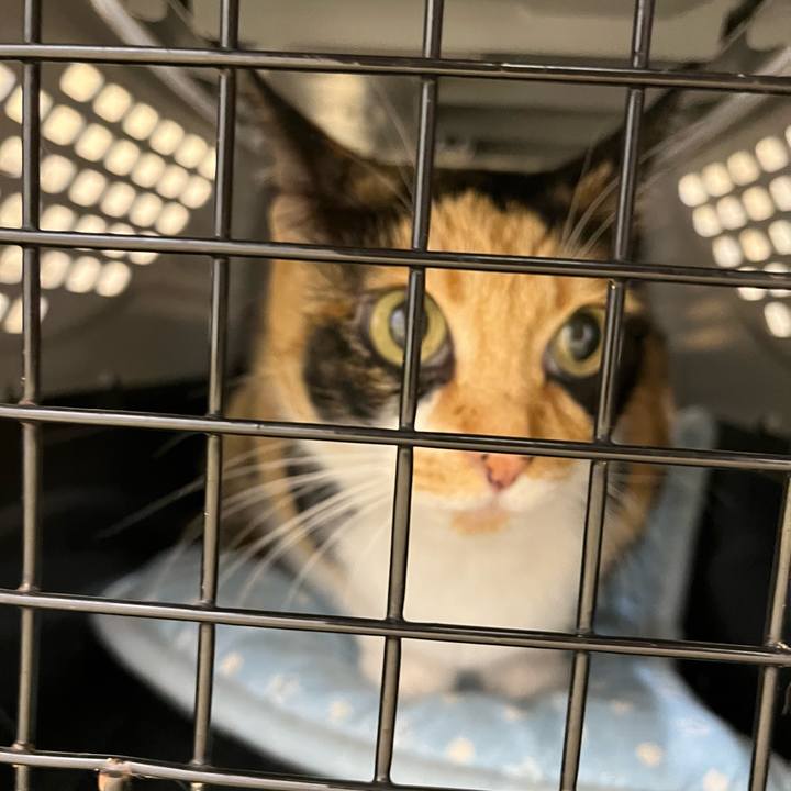 2af2397a 1594 4554 8512 6f0cf0ef4d7d 1655796620463