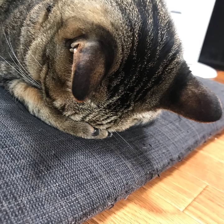 2af246a8 4878 4621 a95b 01b0df00b7d3 1543503000529