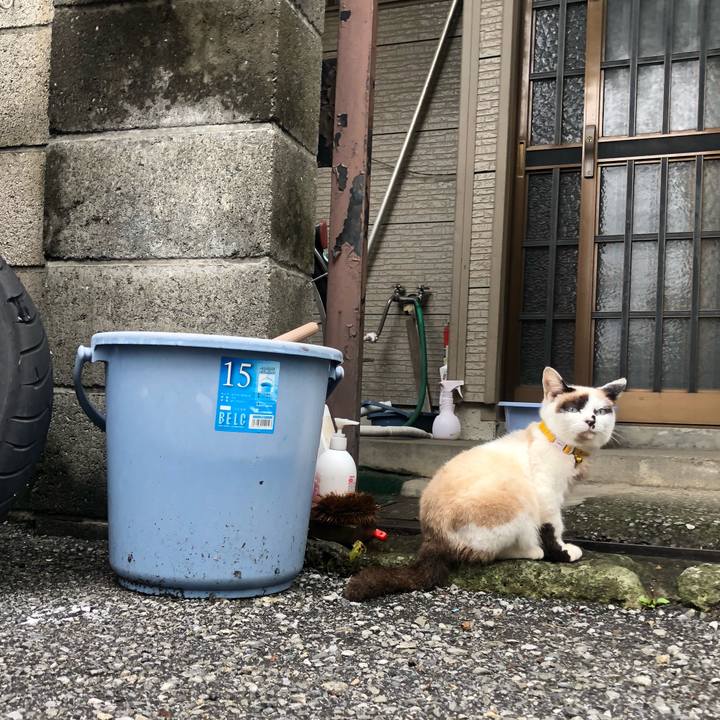 2af25437 274e 49dd aa9b 723555a05599 1626243640955