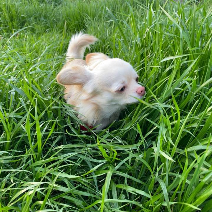 2af2565f 59f4 4435 91ae fa6f01bd0394 1617883653245