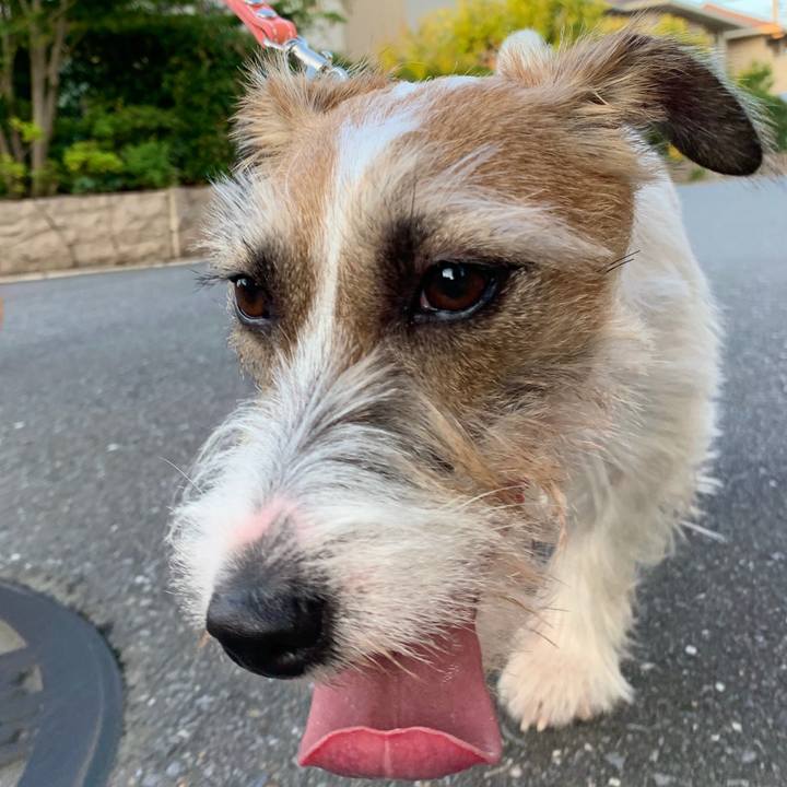 2af28e10 c42e 4fc5 931e 05d73be17c30 1595159374345