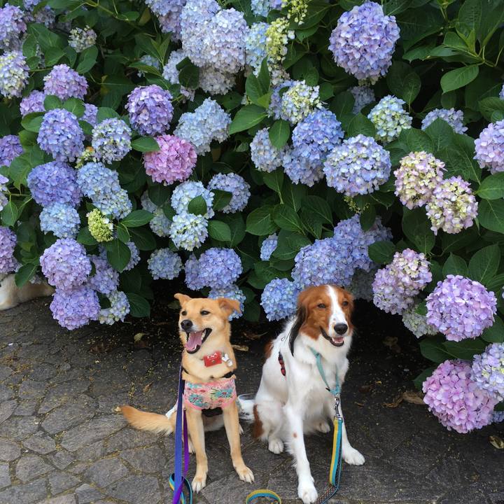 2af2c31e 3d6a 43a5 860d 1a63c61d761b 1528546986544