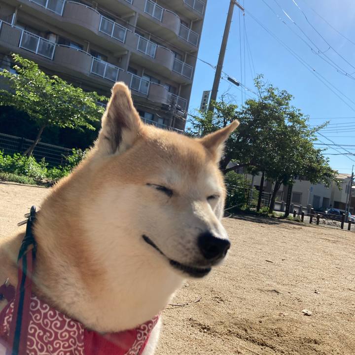 2af2d126 3cc6 44cb ad4d 912d6f9145a2 1624020187869