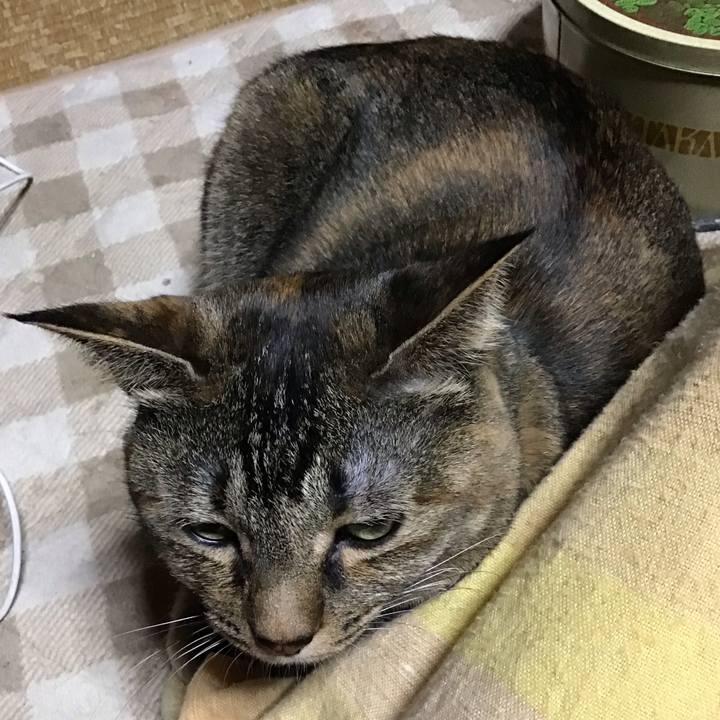 2af2ef4a 34ee 41a6 8573 69817405dc5d 1670936347071