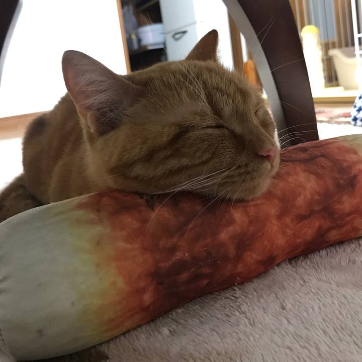 2af2f77e 8889 49b7 b85b 45522dd70f2d 1517381439084