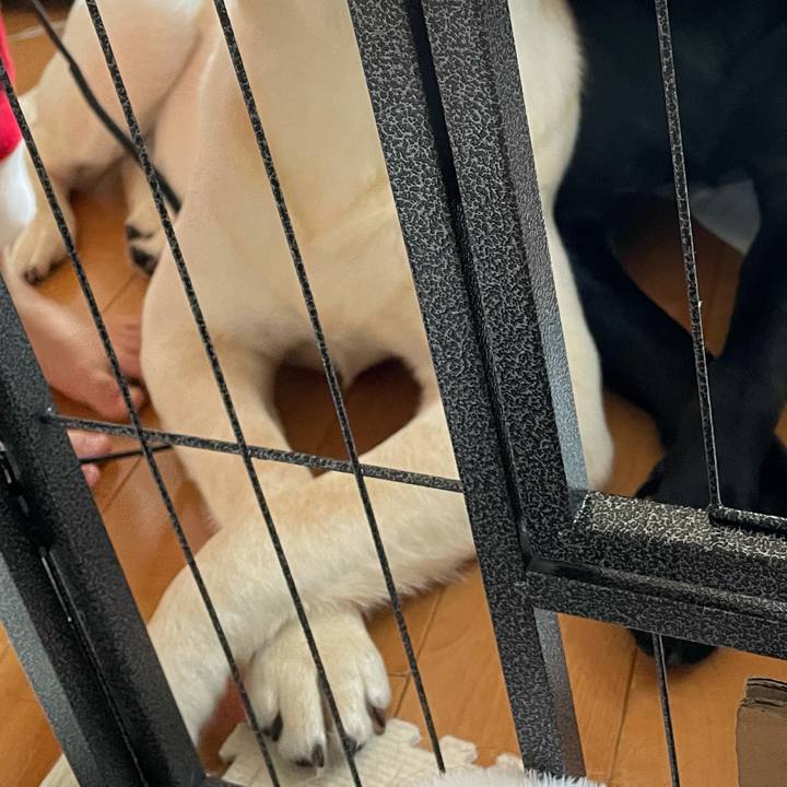 2af3200d 8e79 4213 9e95 eabd382b1a8c 1625013579464