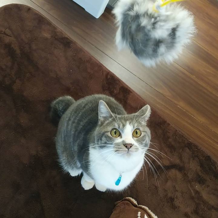 2af328f1 f651 4d61 8687 1fc0d5e7be1b 1580511548107