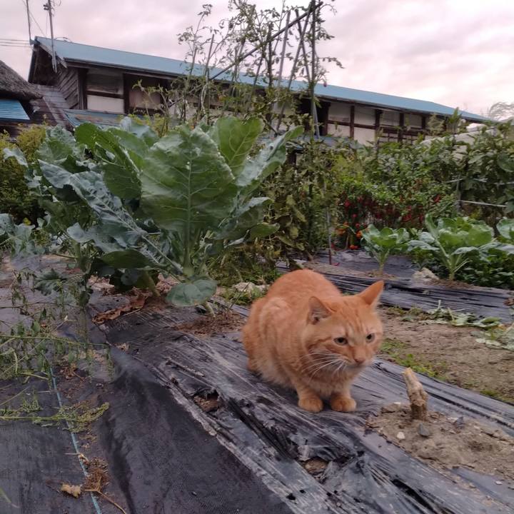 2af338e2 6756 45d1 b55d 13848ff36d61 1695677567048