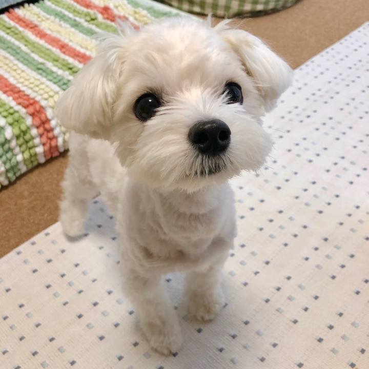 2af380fb 2d3c 4e5a 800d 6af4a80c42c3 1535024404099