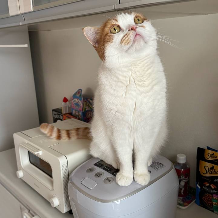 2af38485 aa51 4e1e ba8a 3b96fa674901 1776048036730