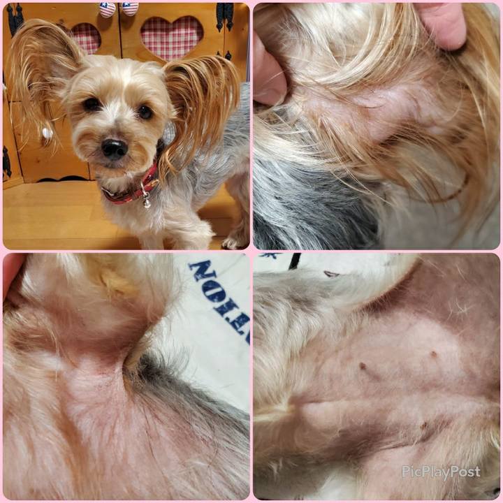 2af4268a adc2 4124 a780 cf3bc45b5045 1597070583167