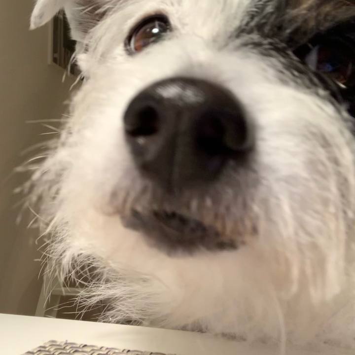 2af444b9 8ebe 4031 bb4f ba65c47d74d6 1638178593056