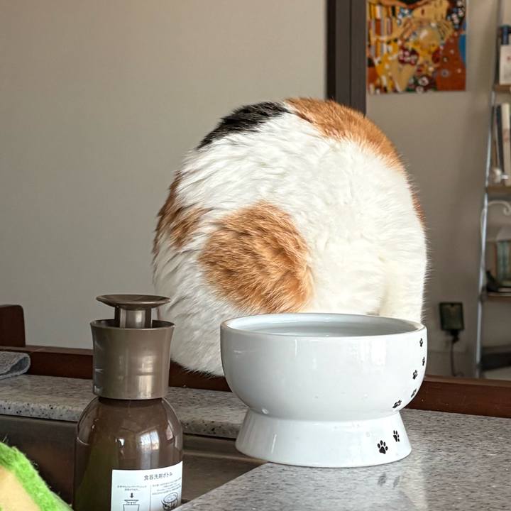 2af447c3 1108 4d58 8e9a c2618350ed58 1770075173695